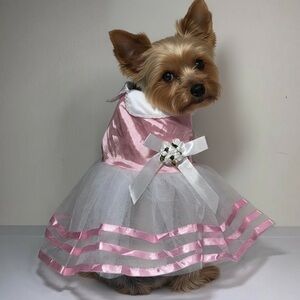 Tutu Tulle & Satin Fancy Dog Dress